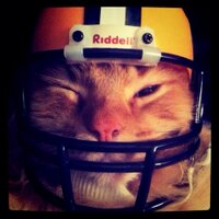 Michael Cerminaro (@mjcerminaro) 's Twitter Profile