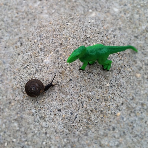 tiny t rex