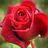doaa89mk's profile image