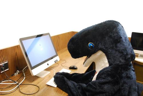 Whale_and_Computer.jpeg