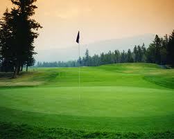 Revolutionizing the way private golf club members connect to play golf.