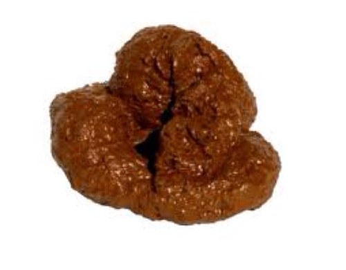 ShiteyReal's profile picture. shitey's coming for you