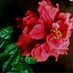 JTLIANG (@jtliang) Twitter profile photo