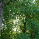 Donna Rodriquez - @Donna7606 - Twitter