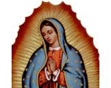 Diana Marcela Parra  - @DianaMa83549673 - Twitter