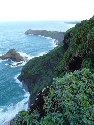 Hawaii_Local's profile picture. 