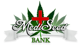 MediSeed - Our exclusive selection of medical marijuana has enhanced medicinal value, strength and consistency; each strain with its own unique properties