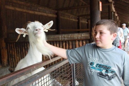 Mc_Rabbit_'s profile picture. #Aerosmith #Dżem #IronMaiden #TheDoors #OzzyOsbourne #hippie#