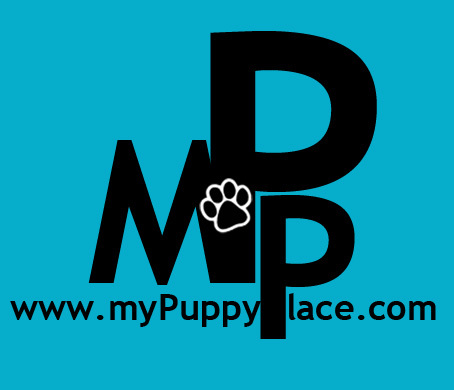 mypuppyplace's profile picture. http://t.co/Yo7RKXz4y5  
                 -site for your pets-