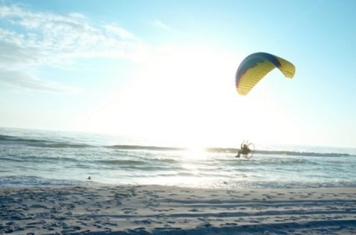 individual_btch's profile picture. 