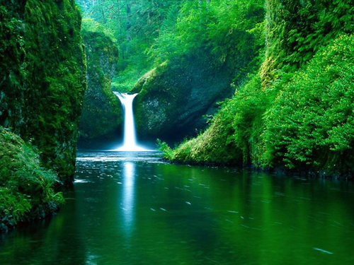 lolyroma1's profile picture. #SomniaNetwork
Morph