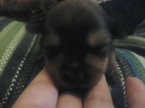 199alexherrero's profile picture. 