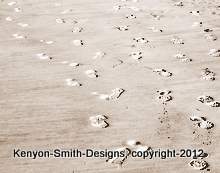 Creating Images to Share and Remember: a travel and nature photographer. Sells photo cards and prints and completes project work. Remember-Share-Buy