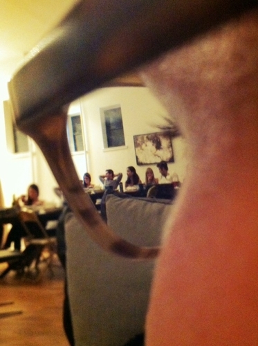 k_land's profile picture. 