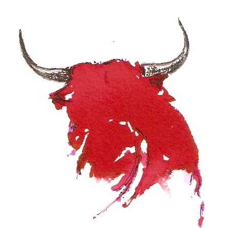 SFAguilafuente Profile Picture
