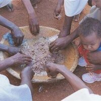 Steve Howard (@sudanwannabe) 's Twitter Profile