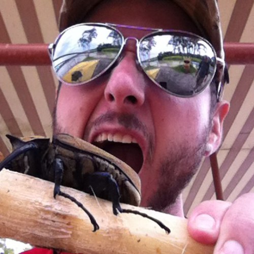 forresthbray's profile picture. 