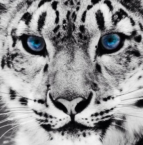 GONE__98's profile picture. 