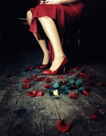 allosCity's profile picture. 가을에 우리 만나요,