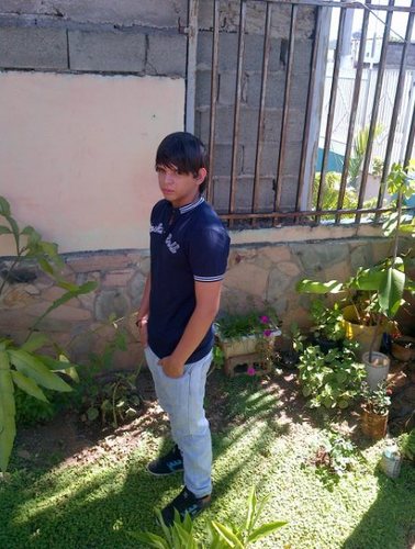 siguee!