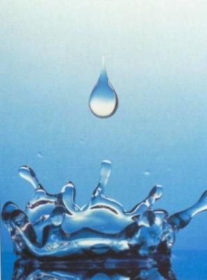 MathieuEstival's profile picture. Chef de projet- Animation territoriale des projets e-santé en Auvergne