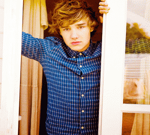 Love all 5, but Liam is my biggest inspiration! #DirectionersLoveLiam #StopBullying Ask for a follow back!