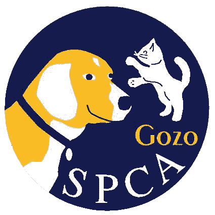 GozoSPCA's profile picture. The only animal rescue and rehoming centre on the Mediterranean island of Gozo, Malta. Associate of The Blue Cross and Grenzelos, Germany.