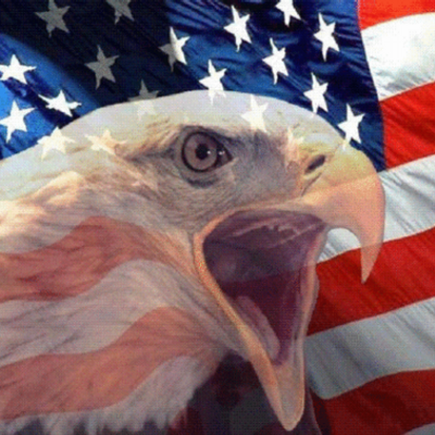 Image result for usa chant