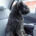 Denzel Murray - @DenzelMurray - Twitter