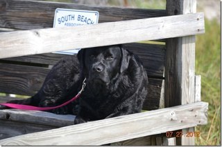 StueytotheMac's profile picture. 