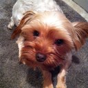 brittney downs - @bldownsteach - Twitter