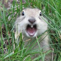 _GordonBennett_ (@_gordonbennett_) 's Twitter Profile
