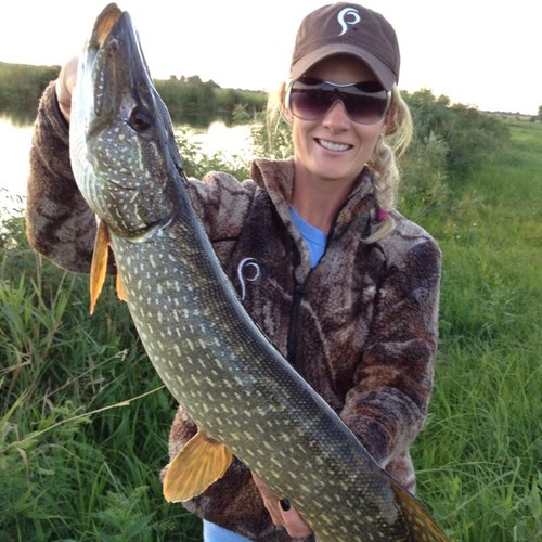 KendraPetska's profile picture. 