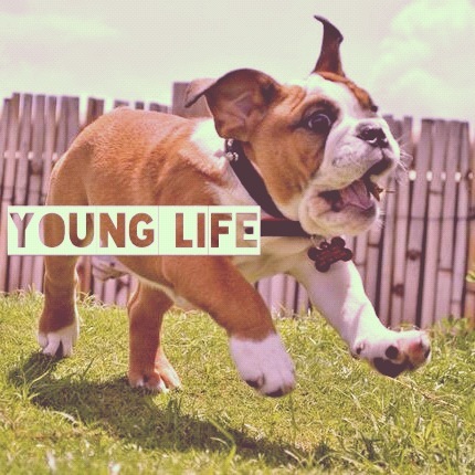 Mondays at 8:01 at THE BARN. If you're a Bearden High school student, come on!