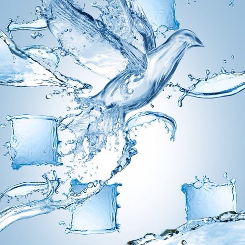 Tweetneder's profile picture. derleeeeer derler...