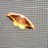 Gruger1's profile image