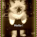 lynne breen - @LynneBreen - Twitter