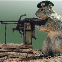 r0d3nt (@r0d3nt) 's Twitter Profile