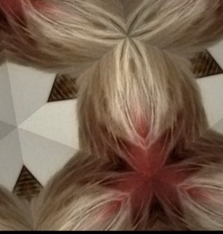 shortieno4's profile picture. 