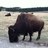 zumbro1124's profile image