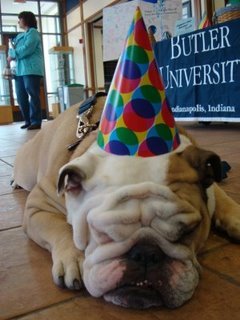 ButlerPreLaw's profile picture. Official Twitter of the Butler University Pre-Law Society.