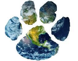 The purpose of the Western Wildlife Conservation Society is to celebrate wildlife, and raise awareness about a
healthy, diverse, and sustainable Earth.