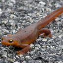 Kevin Wimer - @Highendfan - Twitter