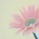 Nancy Jenkins - @JenkinsNancy - Twitter