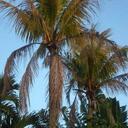 Mackenzie Annis - @KenzieKrazy - Twitter