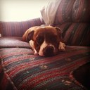 Corey Becker - @Corey_Becker21 - Twitter