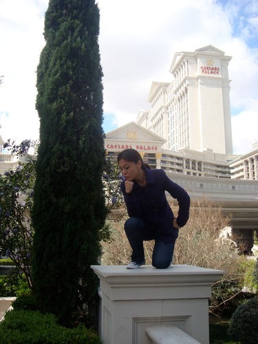 viole_toing's profile picture. What you see is what you get...