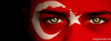 coachmurad's profile picture. 