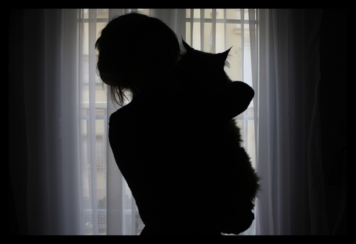 Hemigge's profile picture. Un humano