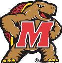 Testudo